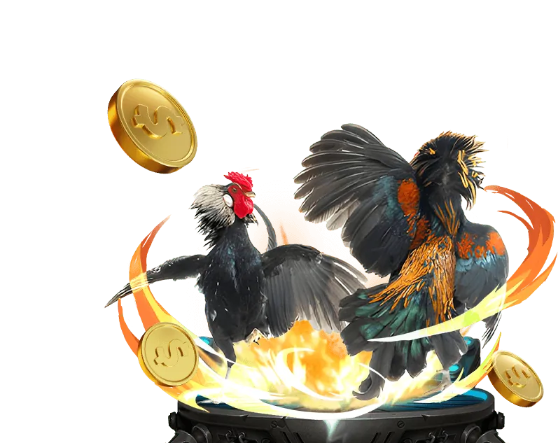 Các loại kèo cá cược đá gà phổ biến tại 5biz